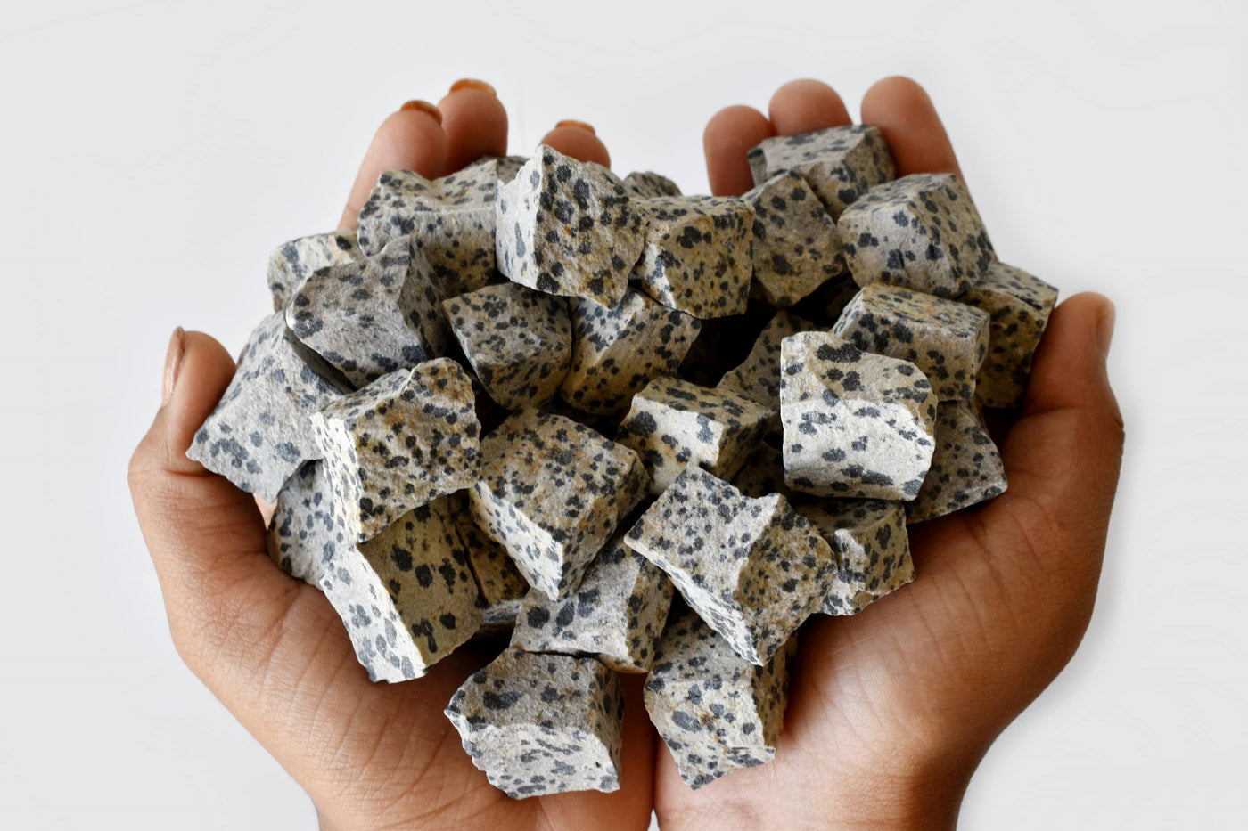 Dalmatian Jasper Rough Rocks (Grounding Energy and Good Fortune)