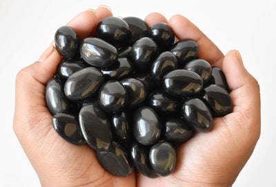 Pierre noire obsidienne dégringolée A Grade, cristaux dégringolés moyens, 1pc, 2,3,5 et 10pcs