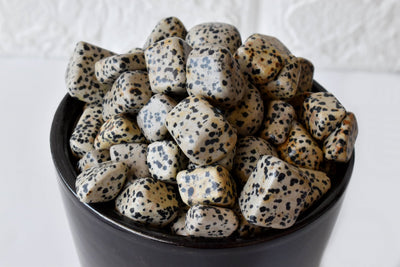 Dalmatian Jasper Tumbled Crystals (Luck And Good Fortune and Manifestation)