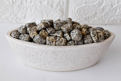 Dalmatian Jasper Tumbled Crystals (Luck And Good Fortune and Manifestation)