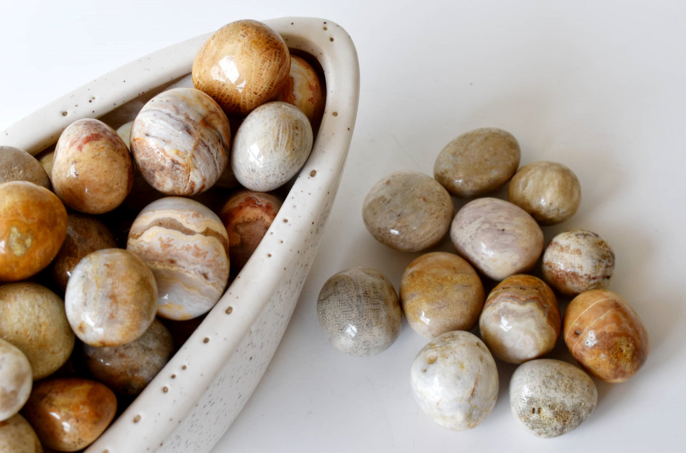 Fossil Coral Tumbled crystals (Grounding and longevity)