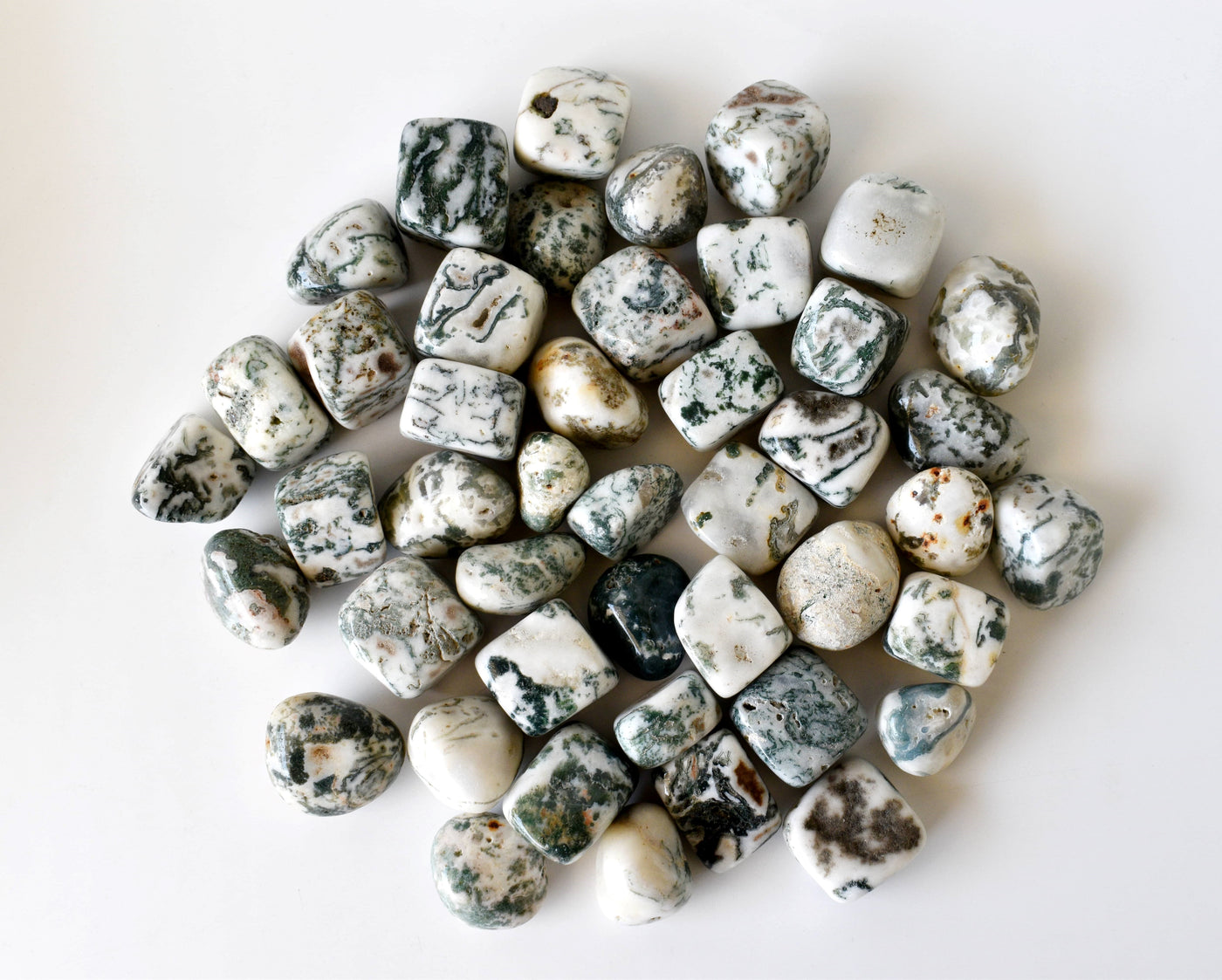 Tree Agate Tumbled Crystals (Knowledge and Trust)