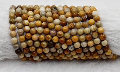 Fossil Coral A Grade 4mm, 6mm, 8mm, 10mm Round Beads
