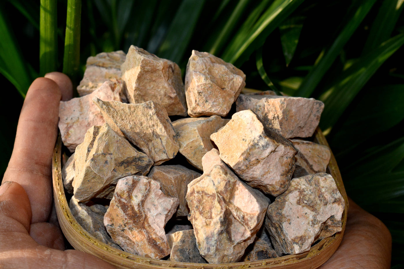 Picture Jasper Rough Natural Stones 1 pouce Picture Jasper Raw Stones, Raw Crystal Chunks in pack size 4oz, 1/2lb, 1lb.